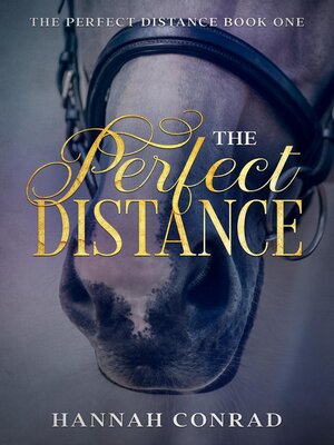 The Perfect Distance - ebook